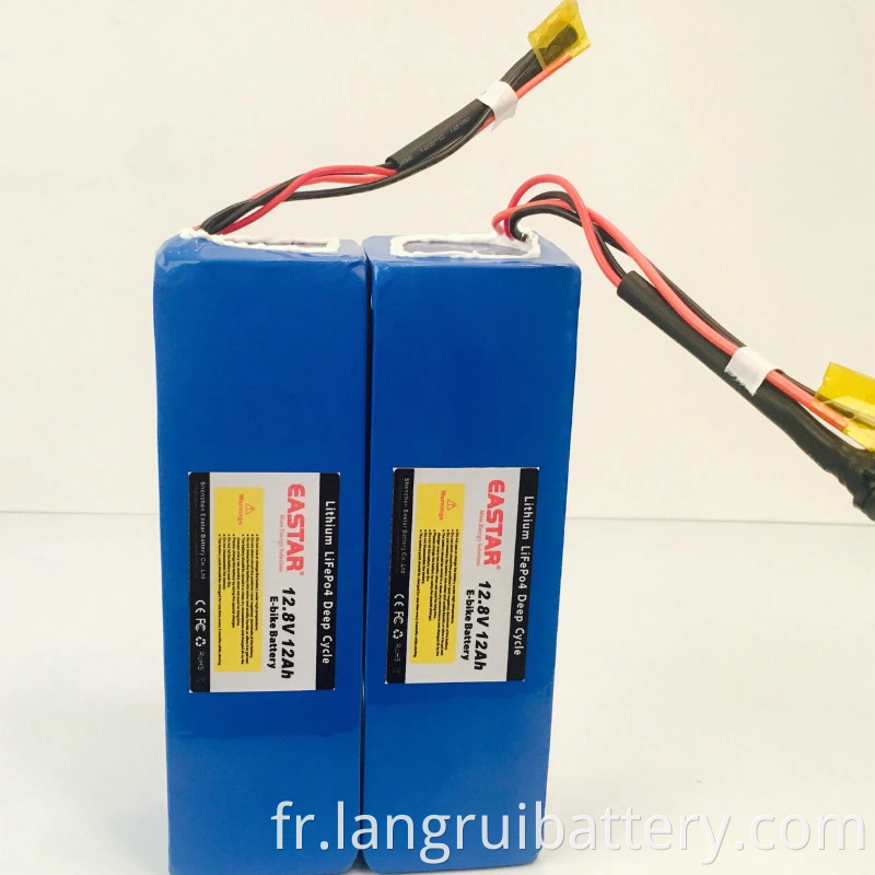 Li ION 12V 12AH Battery